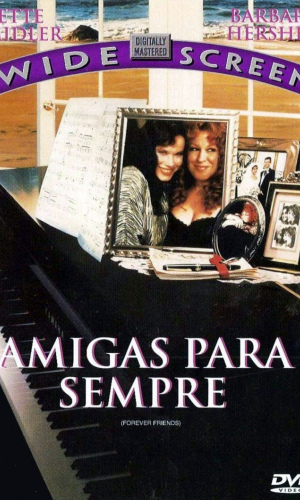 DVD AMIGAS PARA SEMPRE